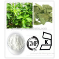 GMP Manufacturer Stevia Extract Steviosides Rebaudioside A 98%